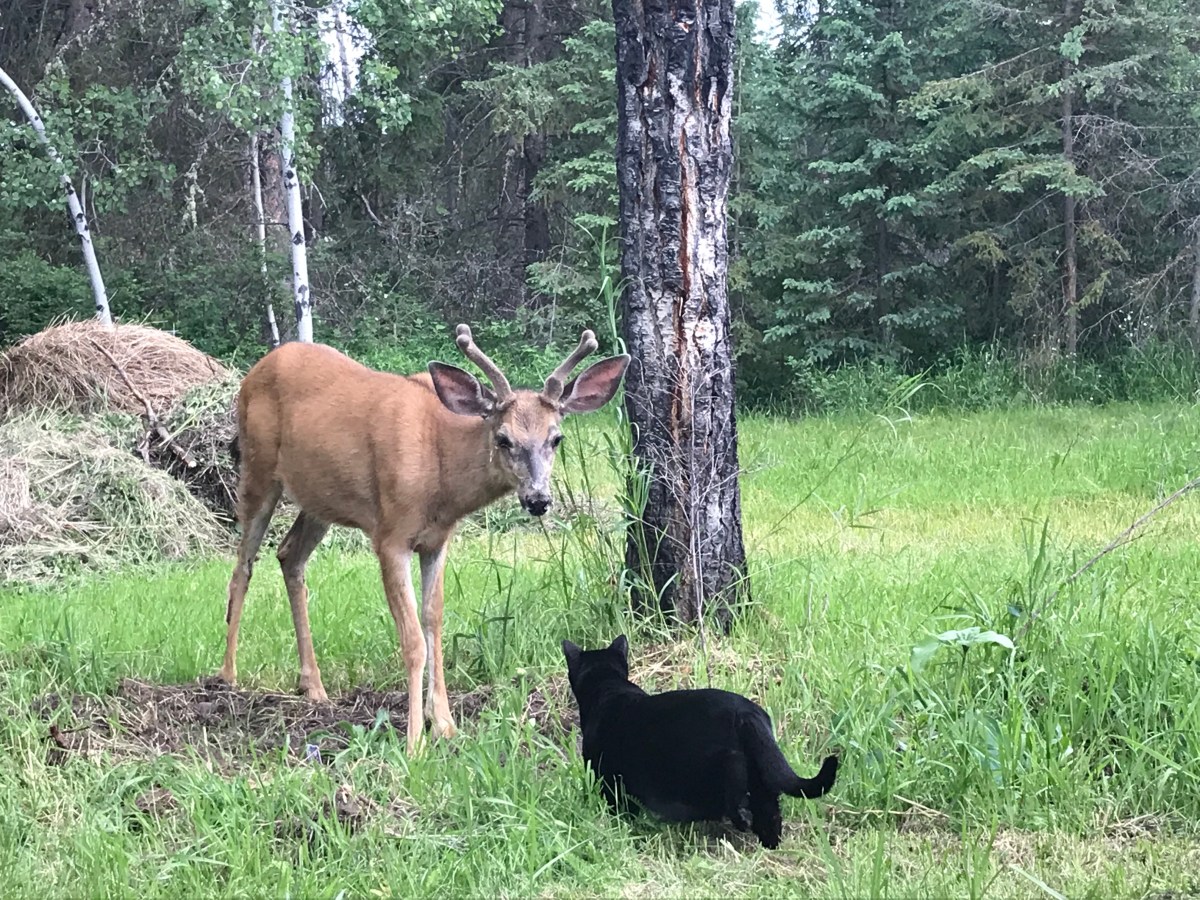 Home again, home&nbsp;again